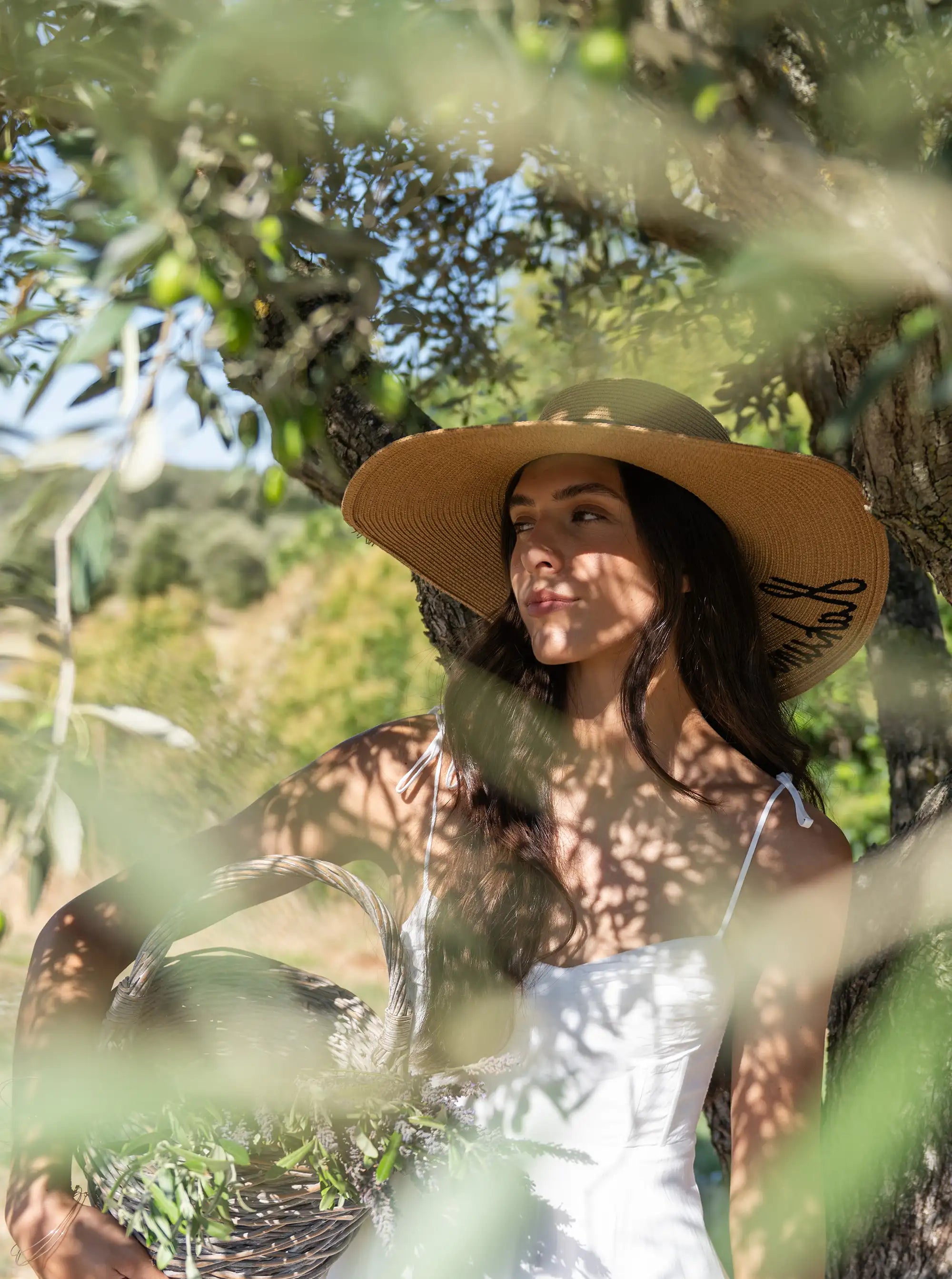 La Provence, notre source d'inspiration